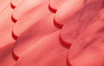 Heribusta plastic roof costs