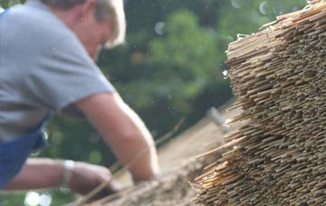 professional Heribusta thatchers